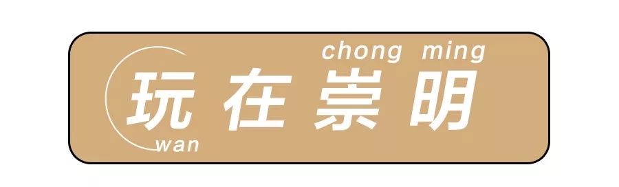 结棍！这个春天，是崇明撑起了魔都的体面！