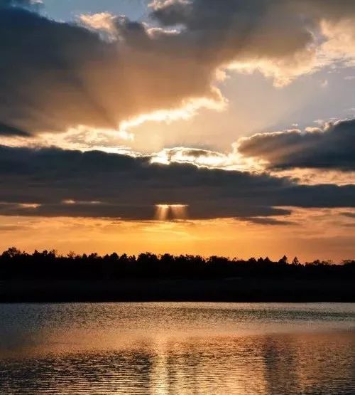 结棍！这个春天，是崇明撑起了魔都的体面！