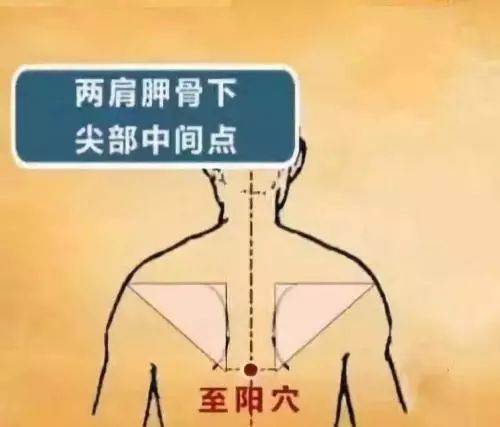 儿童感冒咳嗽脾虚喝什么汤,感冒好后气虚咳嗽痰多怎么办