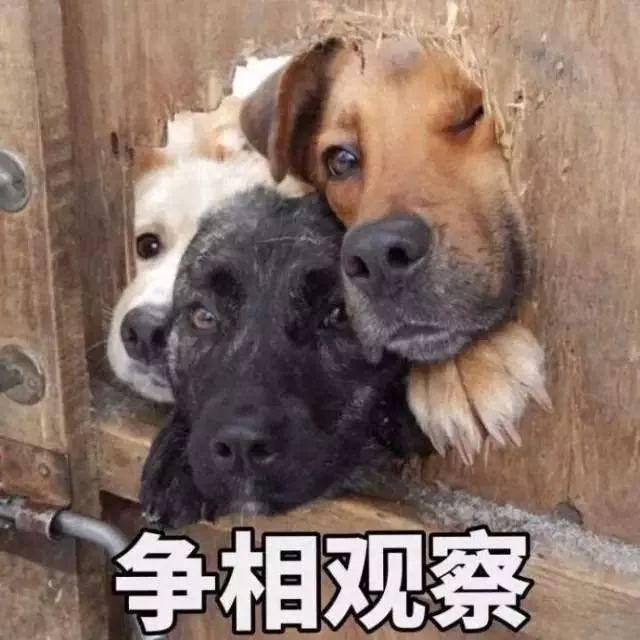 熊猫血患者急需输血,16岁女孩急需“熊猫血”