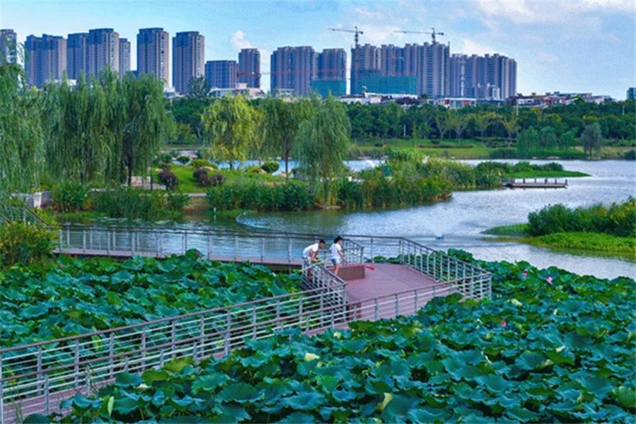 水美金陵！消除黑臭水体，提升沿河环境