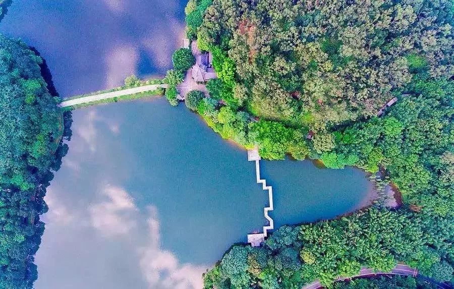 东莞五一旅游攻略推荐,最美人间四月天旅游攻略