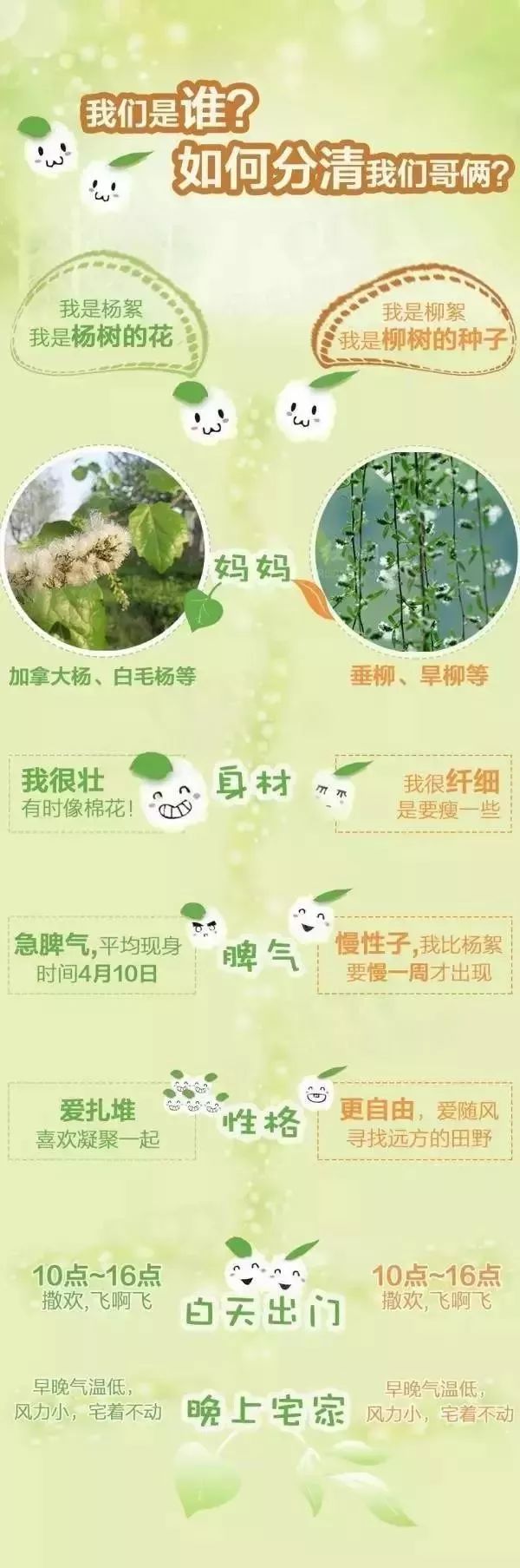 我姓杨，我向全邹城人民道歉！！但我有苦衷……