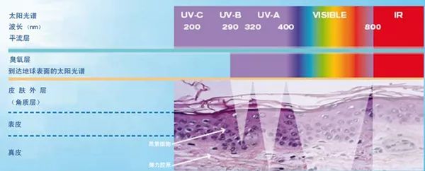 越晒越白越好的防晒方法,一白遮百丑夏日防晒大科普