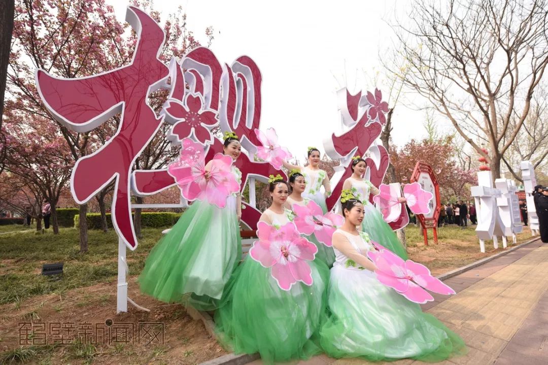 鹤壁樱花节樱花大道,鹤壁樱花节开幕