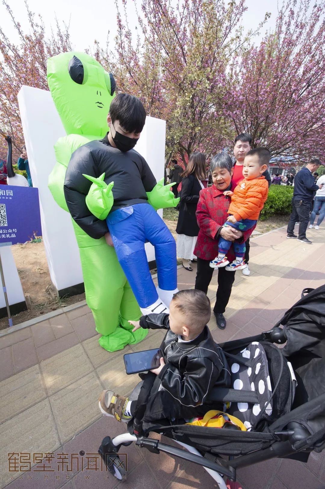 鹤壁樱花节樱花大道,鹤壁樱花节开幕