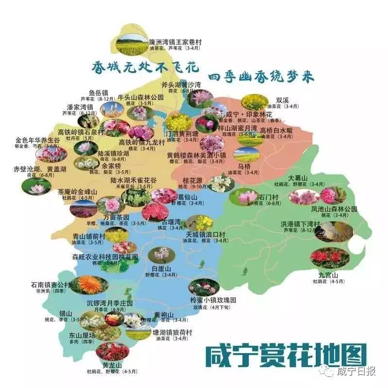 清明假期2023放假安排表,公司清明假期放假通知