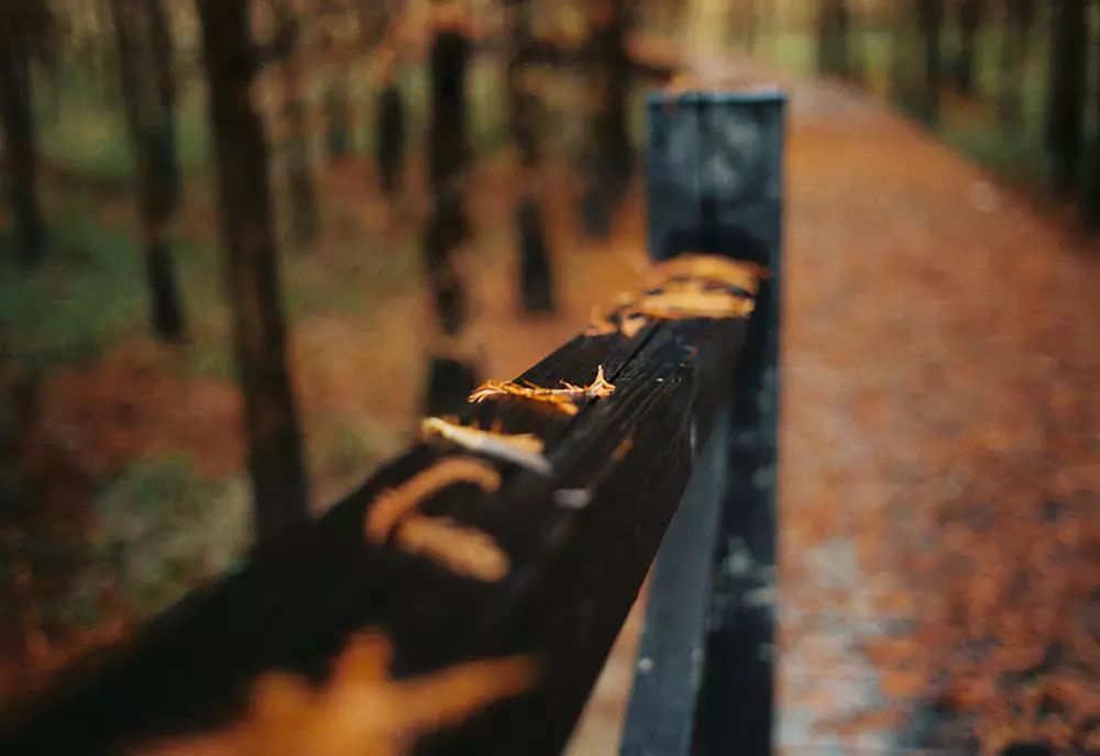 结棍！这个春天，是崇明撑起了魔都的体面！