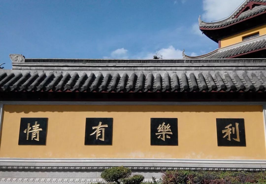 结棍！这个春天，是崇明撑起了魔都的体面！