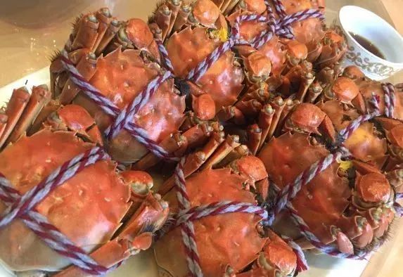 结棍！这个春天，是崇明撑起了魔都的体面！