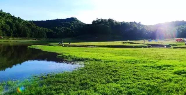 楚雄和昆明好玩的露营地,楚雄自己搭帐篷露营地推荐