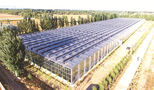 包头乡村振兴,包头田园综合体