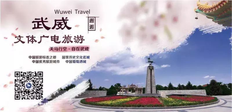 武威成绩,2021武威市中考体育成绩查询