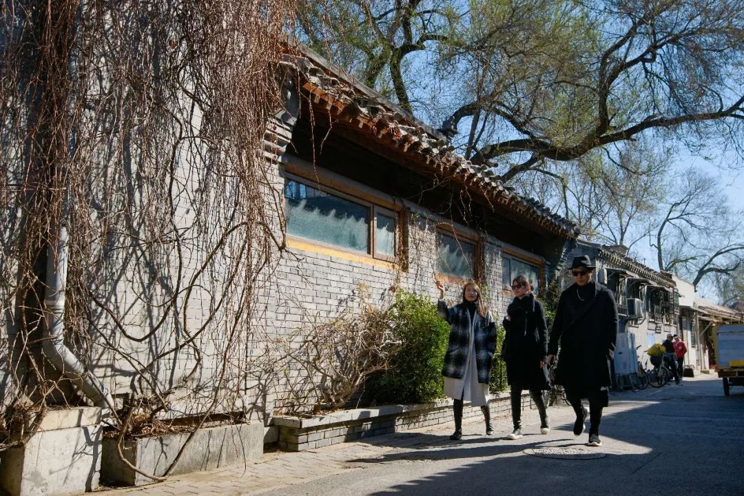 北京姑娘开民宿,北京姑娘开了家胡同民宿