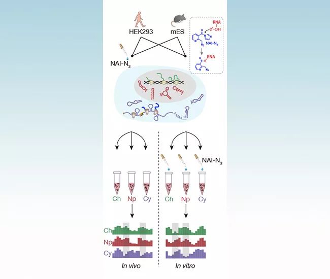 最新发布的科技成果网站,科技研发最新成果素材