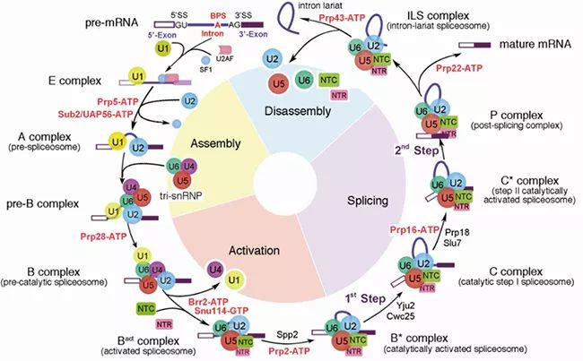 最新发布的科技成果网站,科技研发最新成果素材