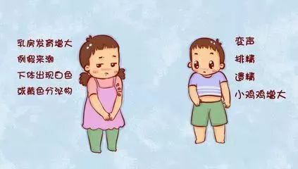 浙江女孩7岁半就来月经，每月治疗费起码5000！父亲肠子悔青