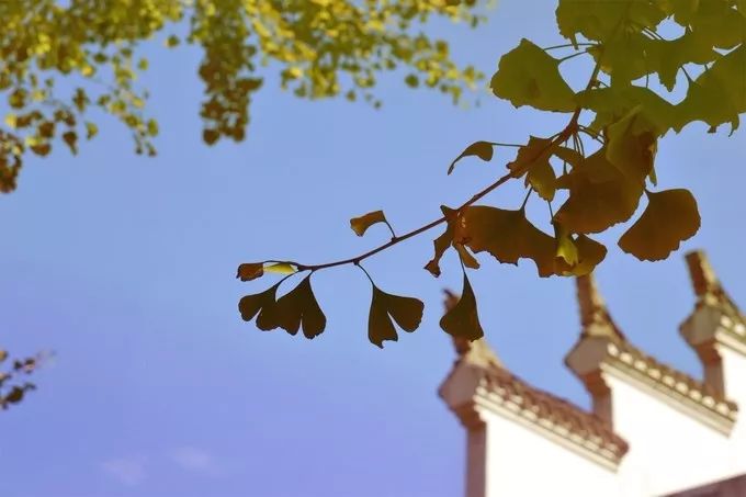 孝感到底有多惊艳,湖北孝感有什么特色