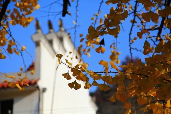 孝感到底有多惊艳,湖北孝感有什么特色