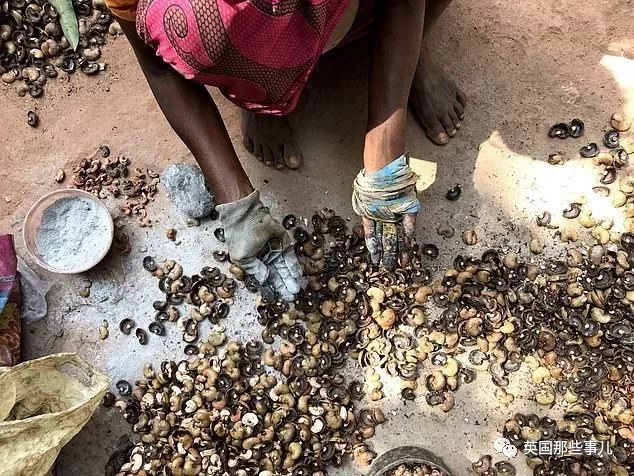 怎样才能正确的剥腰果,剥腰果有多困难