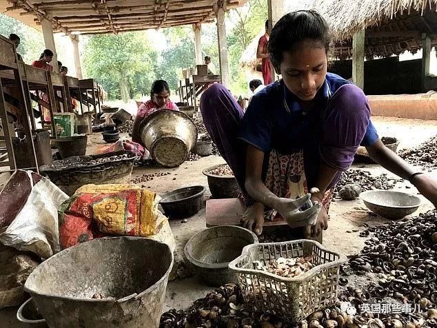 怎样才能正确的剥腰果,剥腰果有多困难