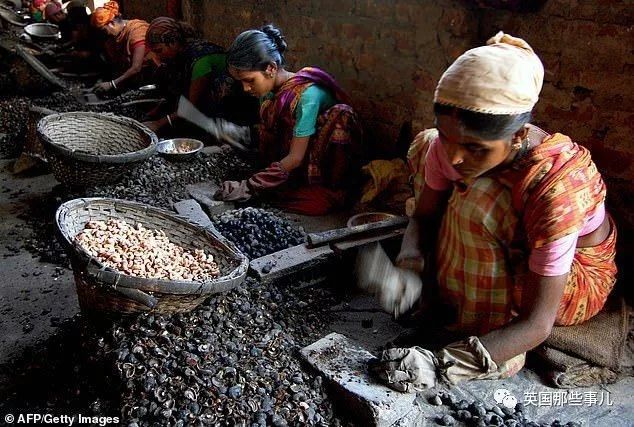 怎样才能正确的剥腰果,剥腰果有多困难