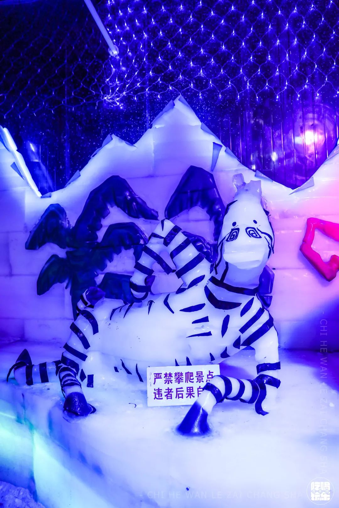 柏乐园附近美食,柏乐园有没有美食