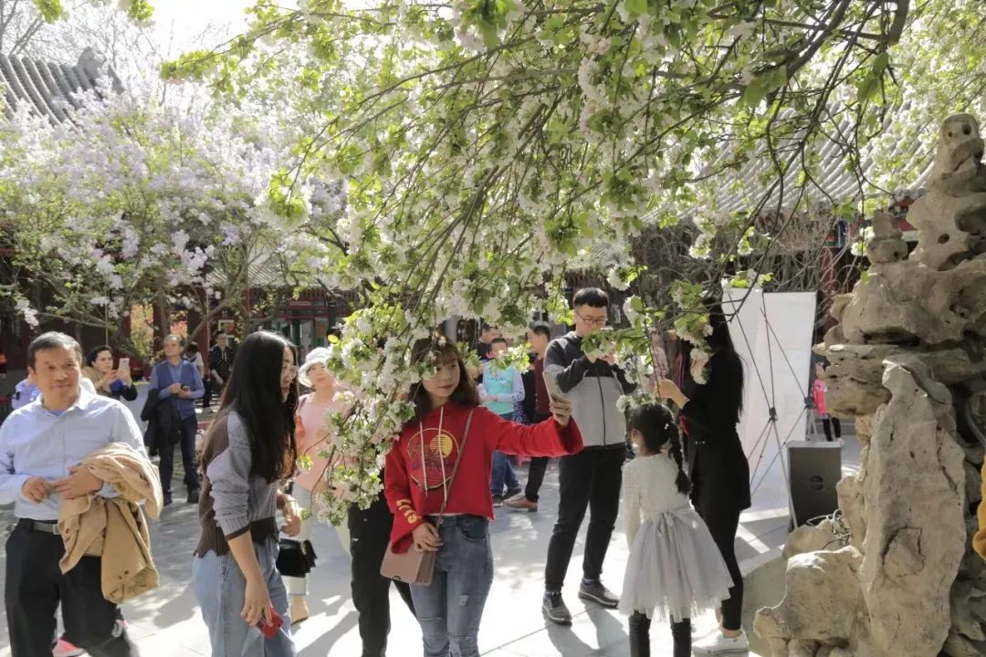 清明节正定赏花游攻略,正定清明踏青好去处