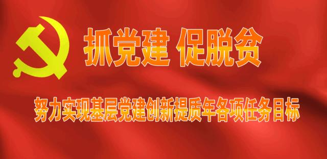 闀囬泟褰濊壇瓒崇悆,褰濊壇瓒崇悆鍗忎細