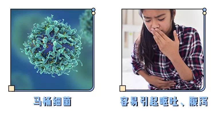 马桶下水管道一直有异味怎么解决,马桶里的脏东西洗不下来怎么办