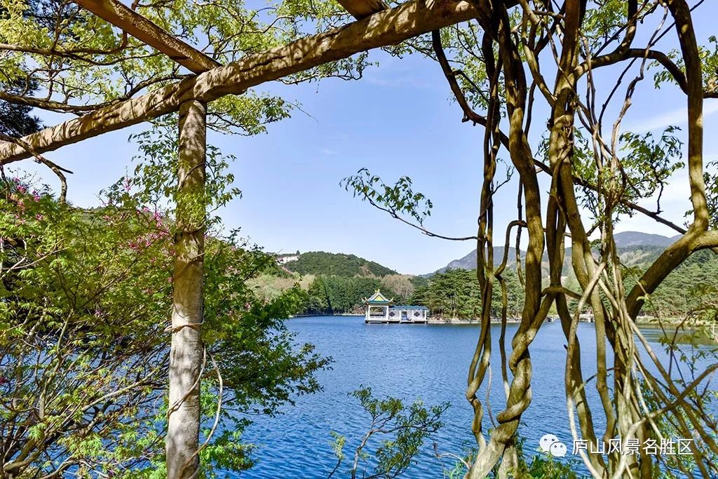 四月中旬的庐山,四月庐山是什么样的