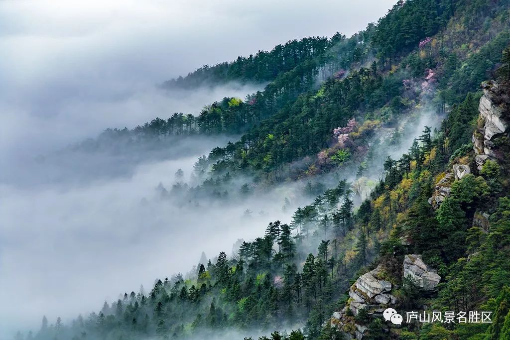 四月中旬的庐山,四月庐山是什么样的