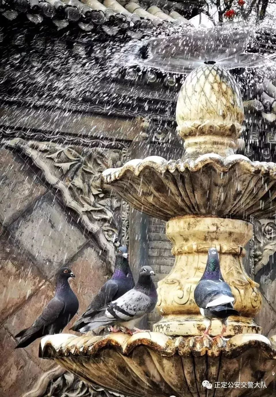 清明节去哪旅行最美,清明时节适合旅行