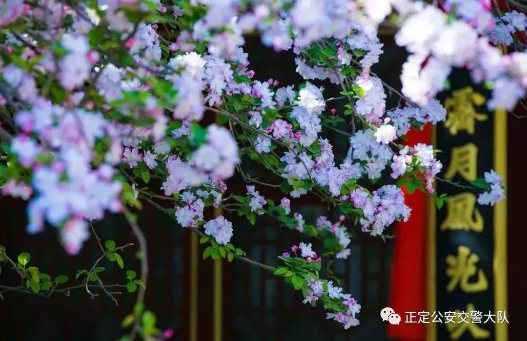 清明节去哪旅行最美,清明时节适合旅行