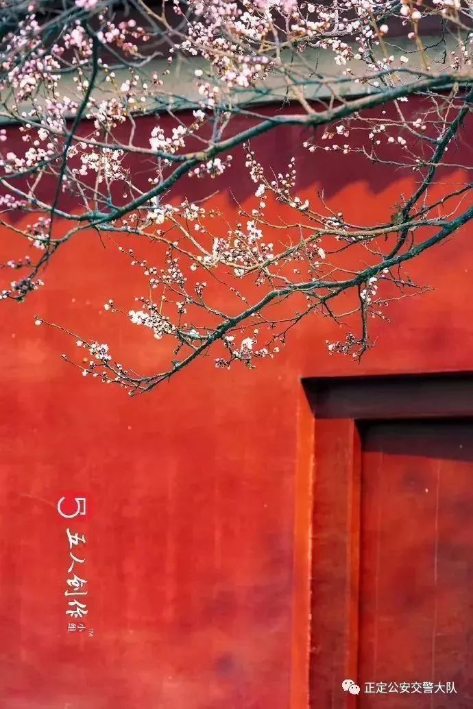 清明节去哪旅行最美,清明时节适合旅行