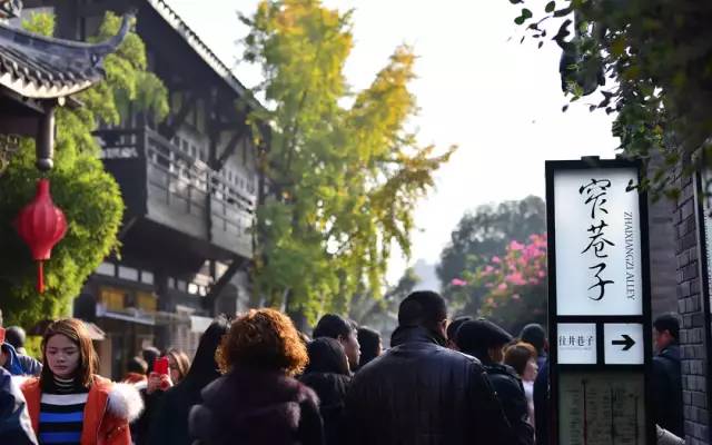 都江堰熊猫谷铲屎官报名,成都大熊猫铲屎官志愿者活动