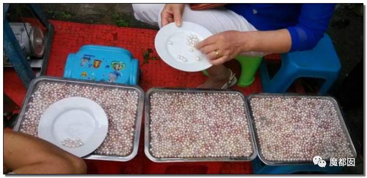 小提琴特色小镇,中国小提琴特色小镇