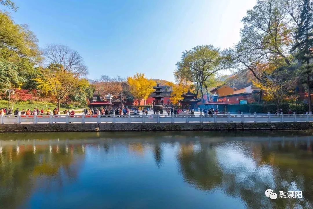 春游好去处！原来长三角有这么多免费的景点！马上出发！