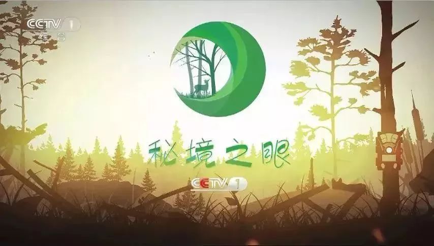 什么鹿濒危,什么的梅花鹿