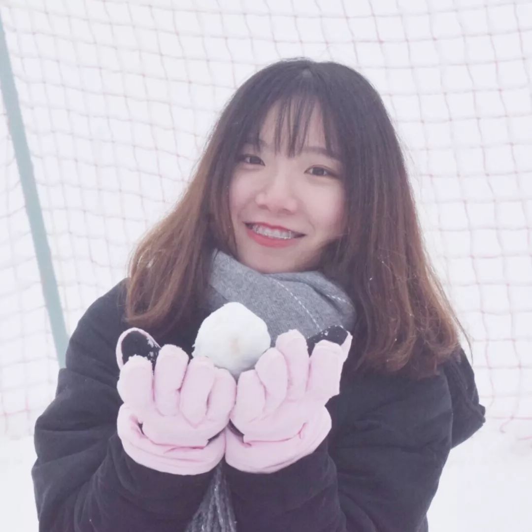 网贷公司案件,网贷公司视频