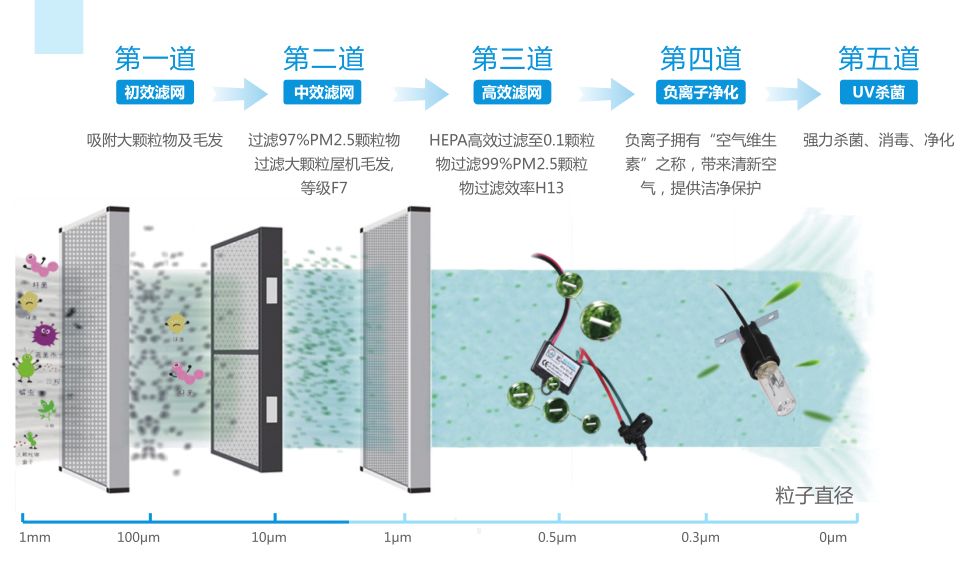 春季干燥过敏如何改善,肠道导致皮肤过敏怎么调理最有效