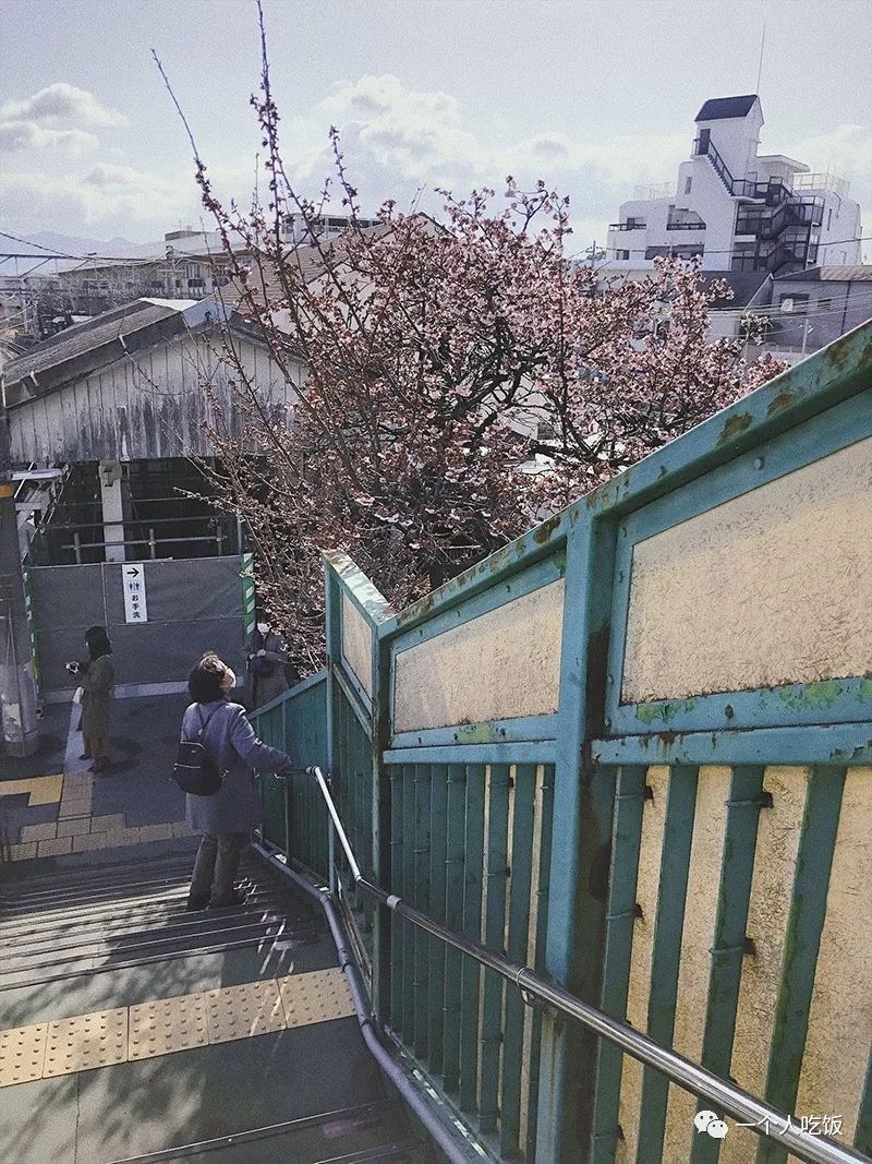 京都有什么值得去的餐厅,京都有啥好吃又不贵的