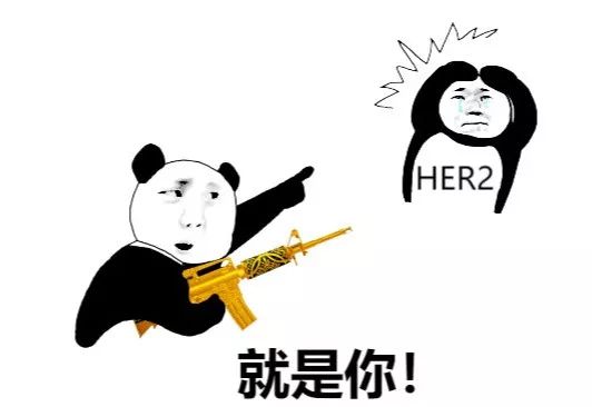 car-t完全缓解治愈,car-t能真的治愈吗