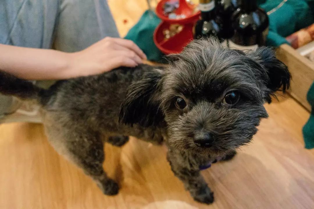 广州市大型杂货铺,广州杂货铺哪里最好