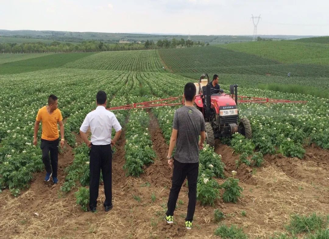 达科宁悬浮剂苗期能用吗,达科宁悬浮剂