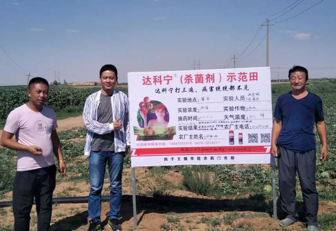 达科宁悬浮剂苗期能用吗,达科宁悬浮剂