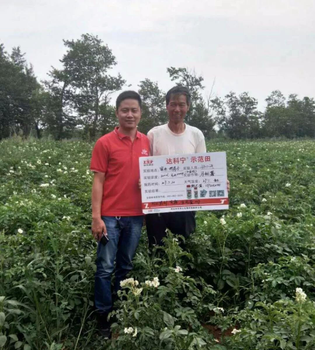 达科宁悬浮剂苗期能用吗,达科宁悬浮剂