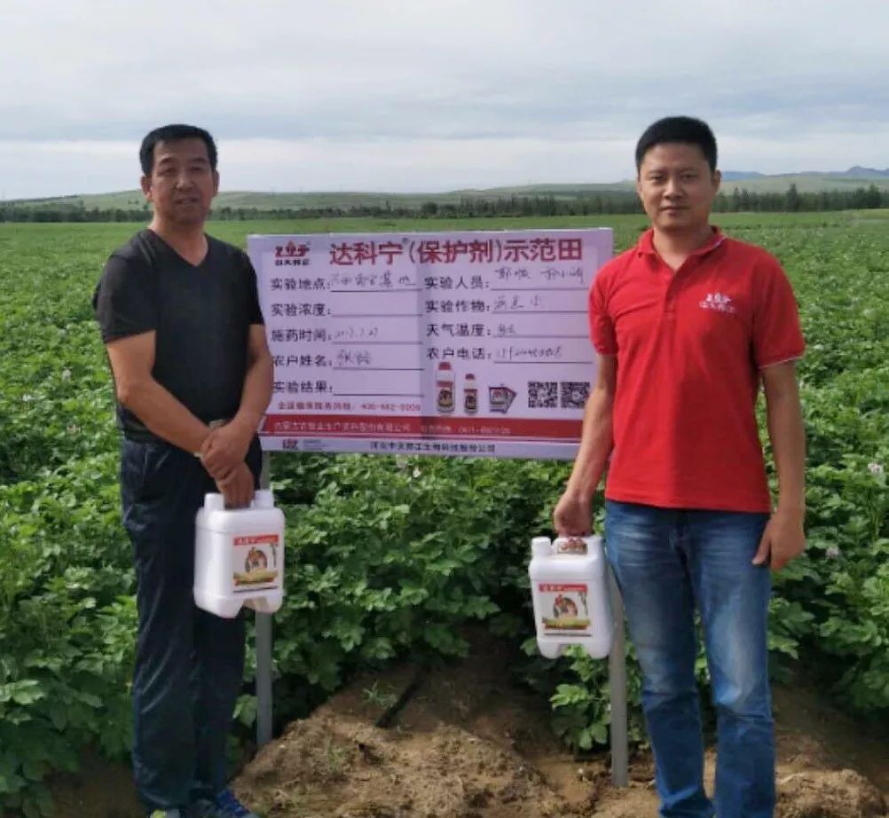 达科宁悬浮剂苗期能用吗,达科宁悬浮剂