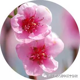 国际学校夏令营报名,双语暑假夏令营报名费用