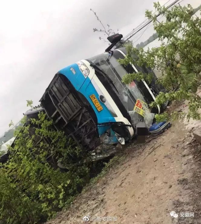 今日话题：单位食堂节假日期间对游客开放〡早安，张家界（343期）